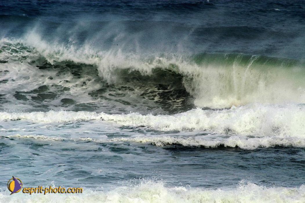 Nom de l'image : EP08-0357_(c)Norbert-JUNG — Description :